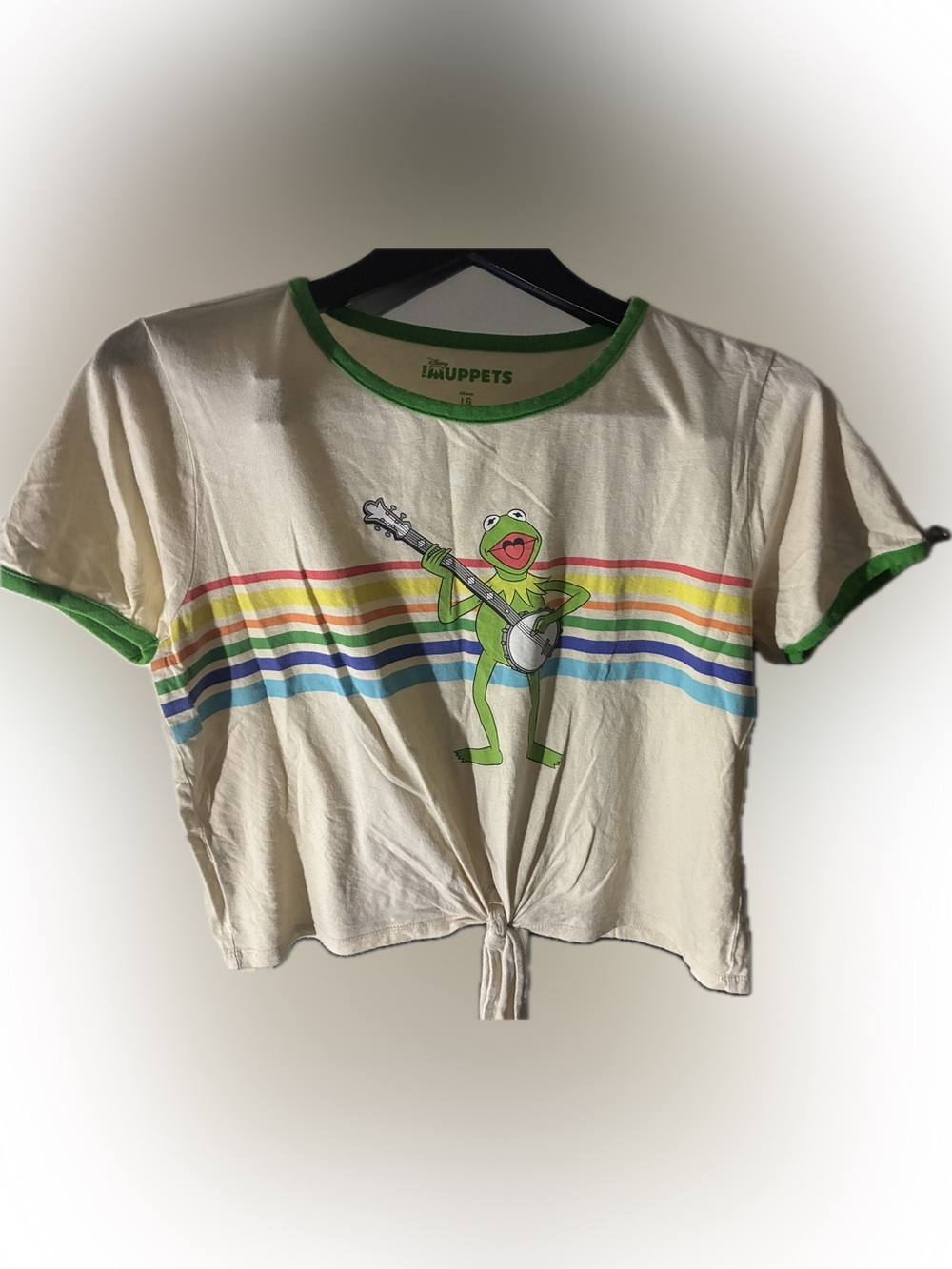 Disney Kermit Rainbow Stripe Tie-Front Crop Top - Cream & Green
